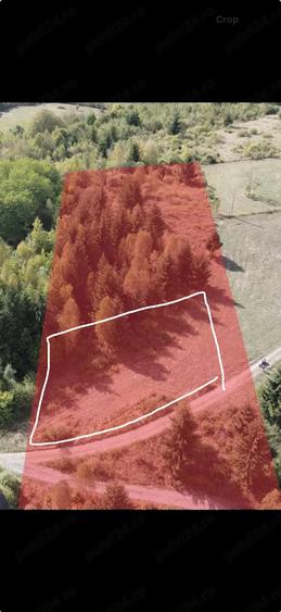 Teren de 4500 mp, în Lunca