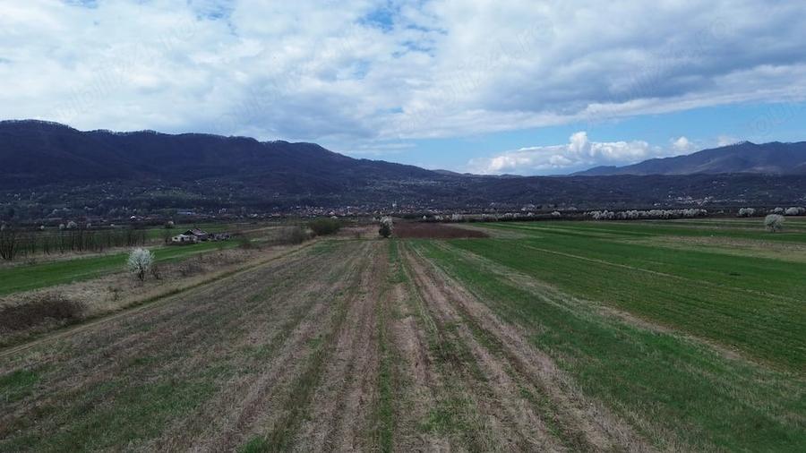 Teren de 6581 mp, în Jiblea Nouă