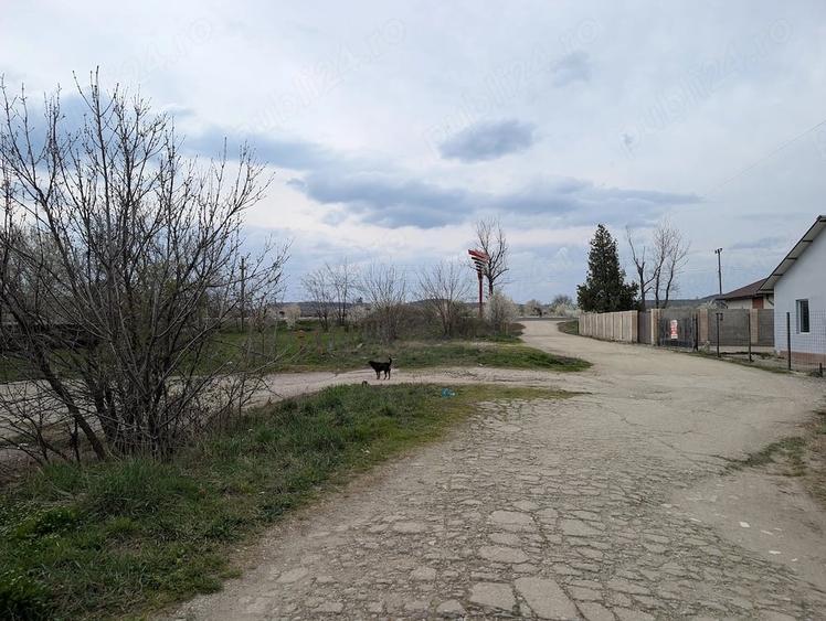 Teren de 9500 mp, în Central