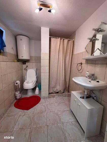 Casă cu 2 camere cu Teren 2380 Mp în Iacobeni