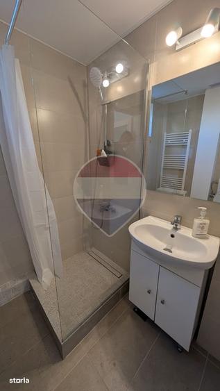 Apartament 3 camere de inchiriat - recent renovat, Grigorescu - 11