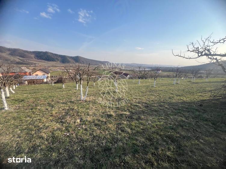 Teren de 3100 mp, în Nimigea
