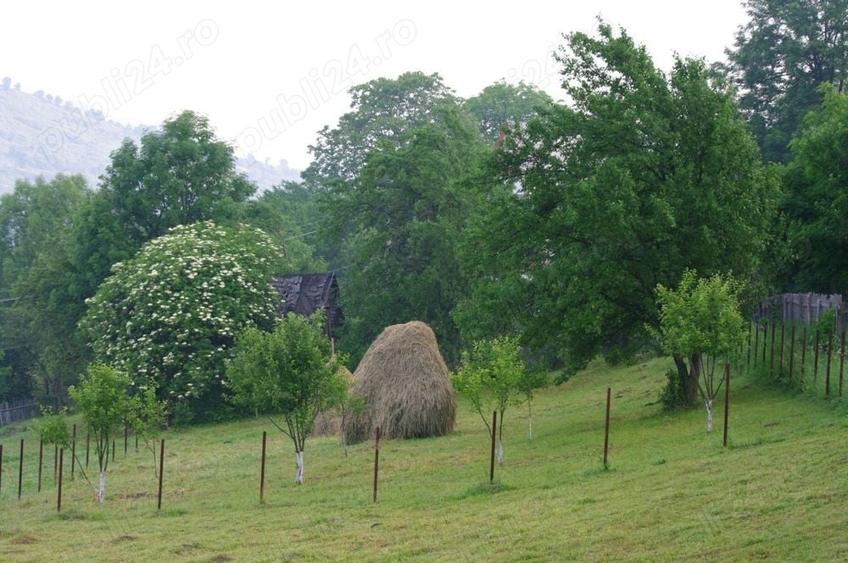 Teren de 1000 mp, în Teșila