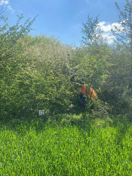 Teren Construcții intravilan de 5808 mp, în Săbăreni