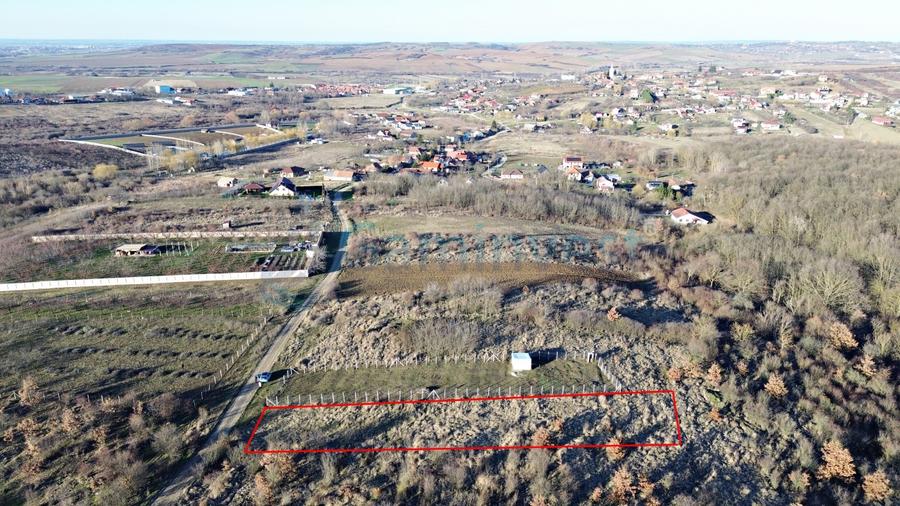 Teren Construcții intravilan de 2555 mp, în Paleu