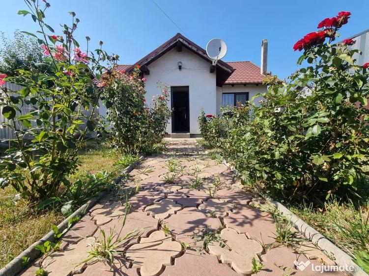 Casa cu trandafiri din Letea Veche, construc?ie 2013 - 1