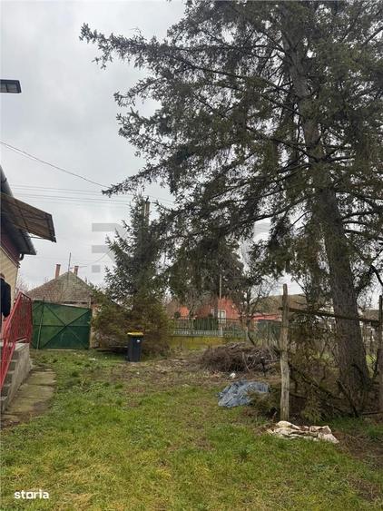 Casă cu 3 camere cu Teren 1900 Mp în Borș