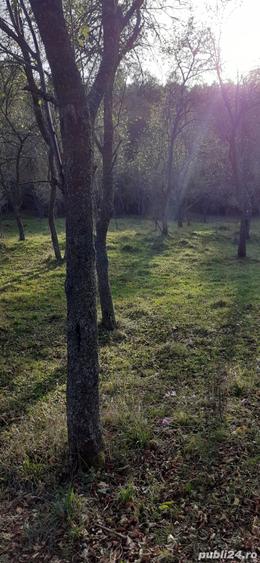 Teren de 5900 mp, în Vălișoara