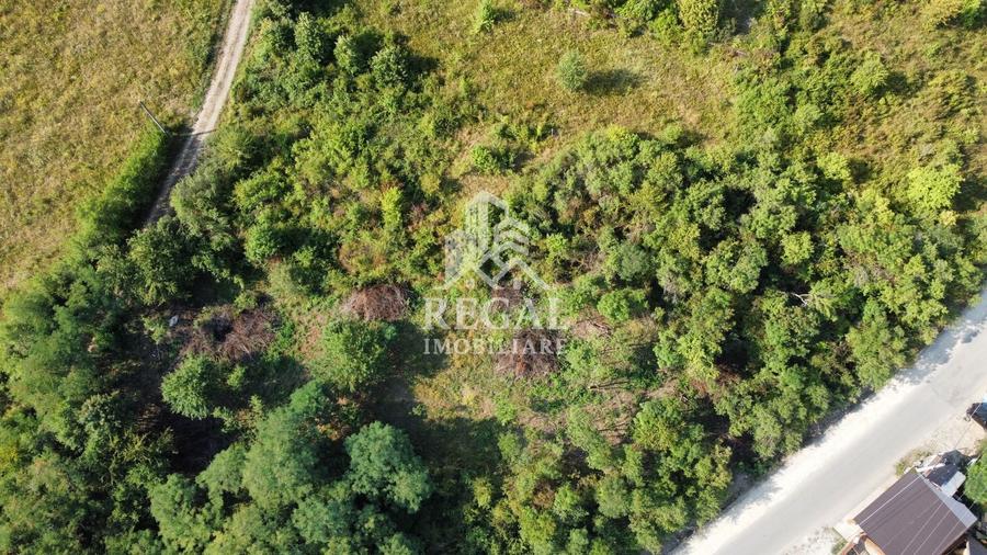 Teren Construcții intravilan de 770 mp, în Cinciș-Cerna