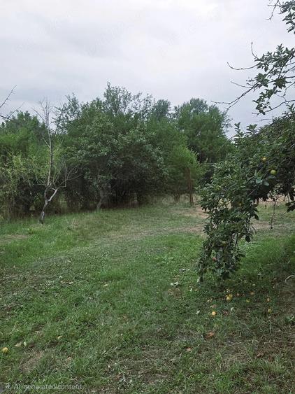 Casă cu 6 camere cu Teren 2900 Mp în Olteni