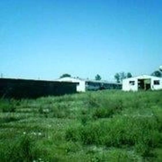 Teren de 63000 mp, în Halmeu
