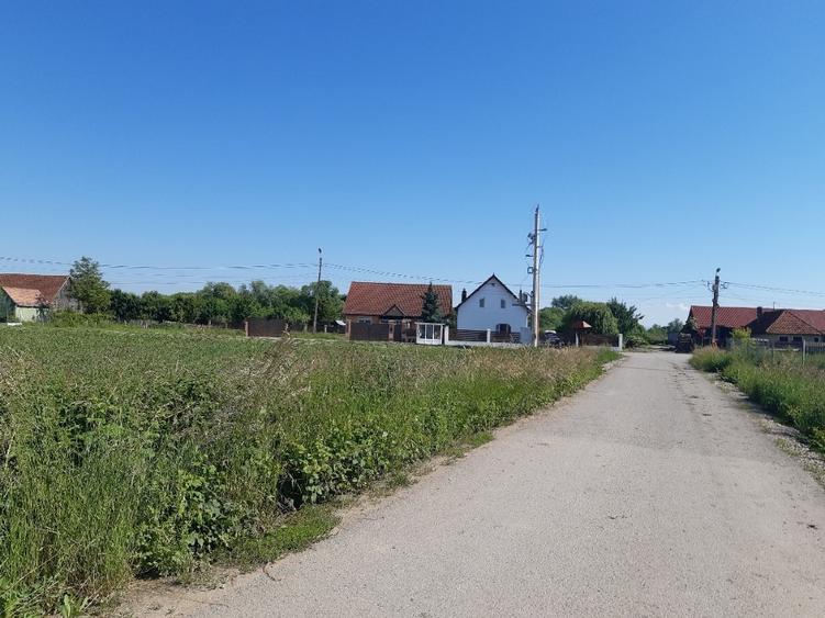 Teren Construcții intravilan de 2325 mp, în Triaj