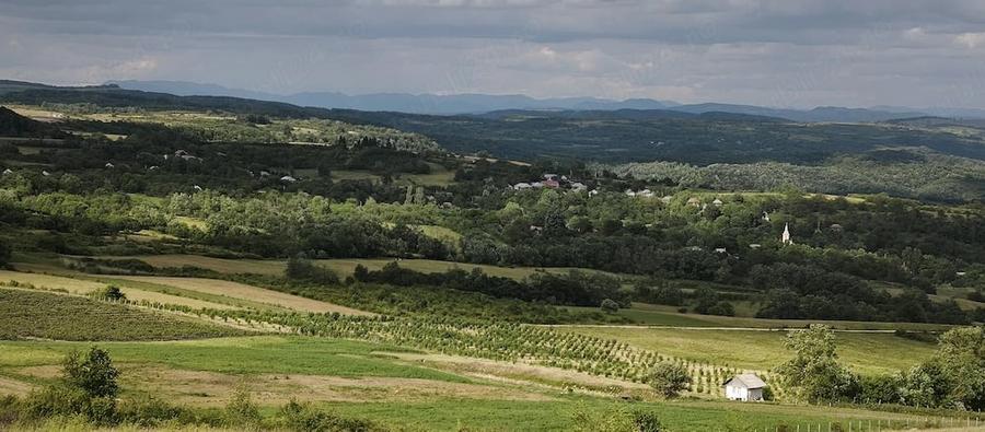 Teren de 29000 mp, în Cozla
