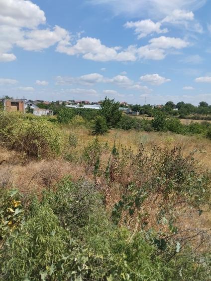 Teren Construcții intravilan de 3900 mp, în Costi