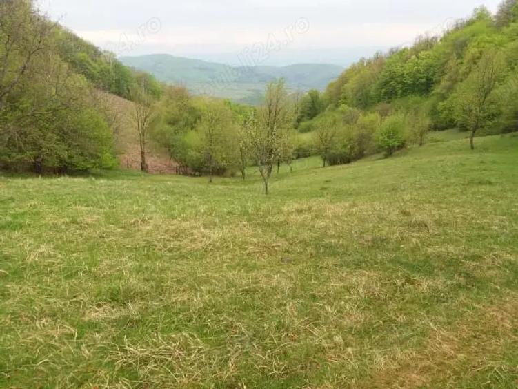Teren de 27500 mp, în Săcărâmb