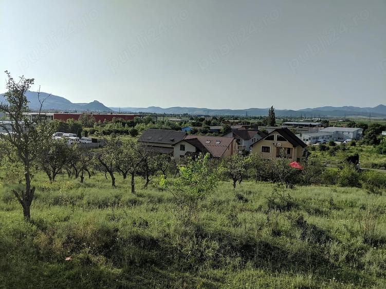 Teren de 10000 mp, în Central