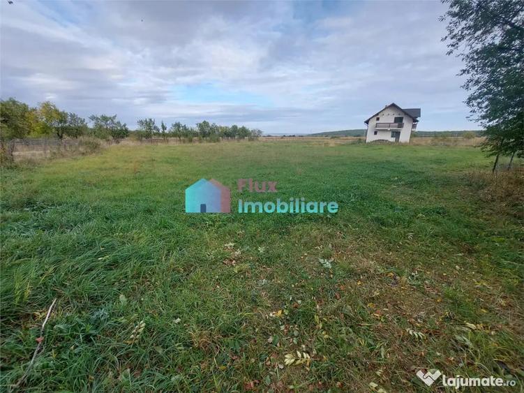 Casă cu 4 camere cu Teren 8450 Mp în Central
