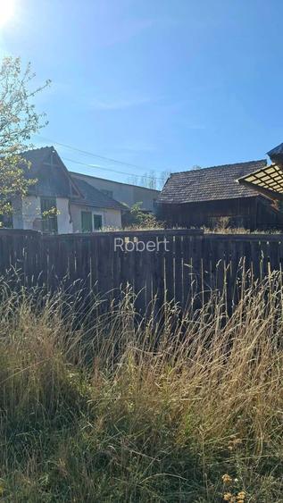 Proprietate cu doua case in Calatele