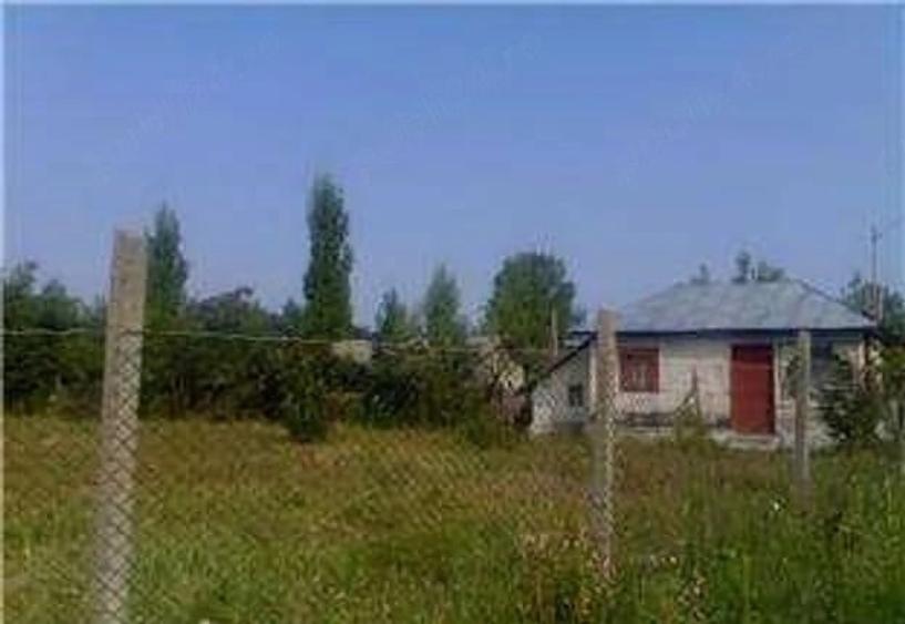 Teren casa Prahova, 1130 mp intravilan Fintinele, asfalt-electrica-apa-canalizare - 1