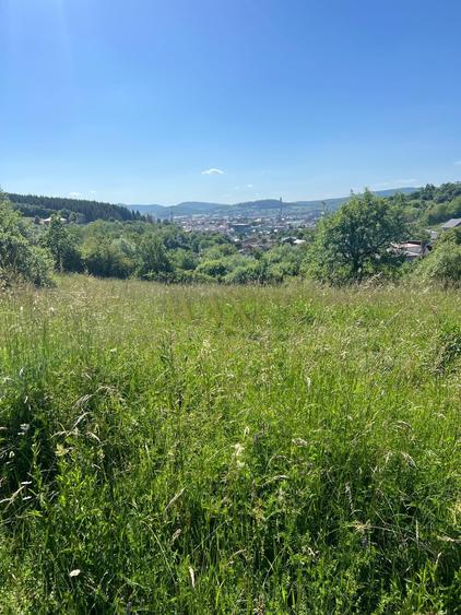 Teren Construcții intravilan de 7500 mp, în Central