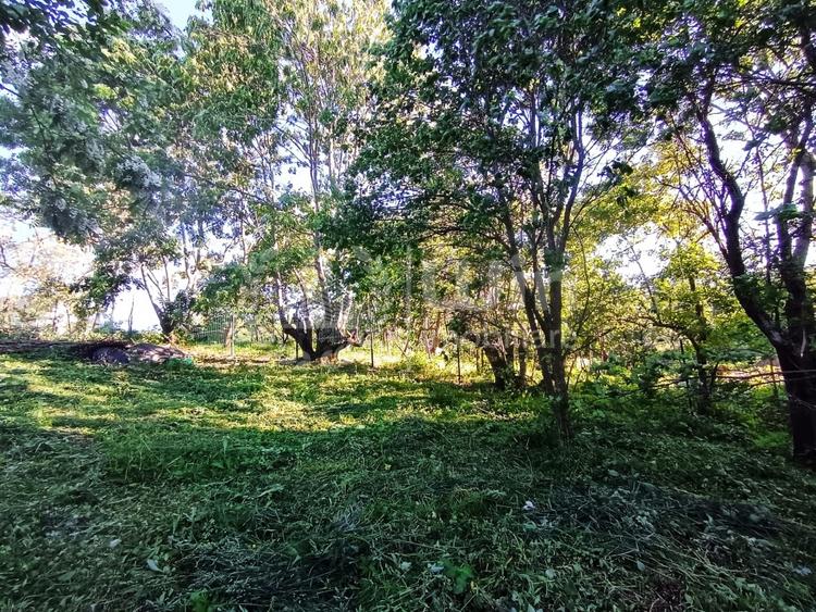 Teren Construcții intravilan de 1340 mp, în Gheorghieni