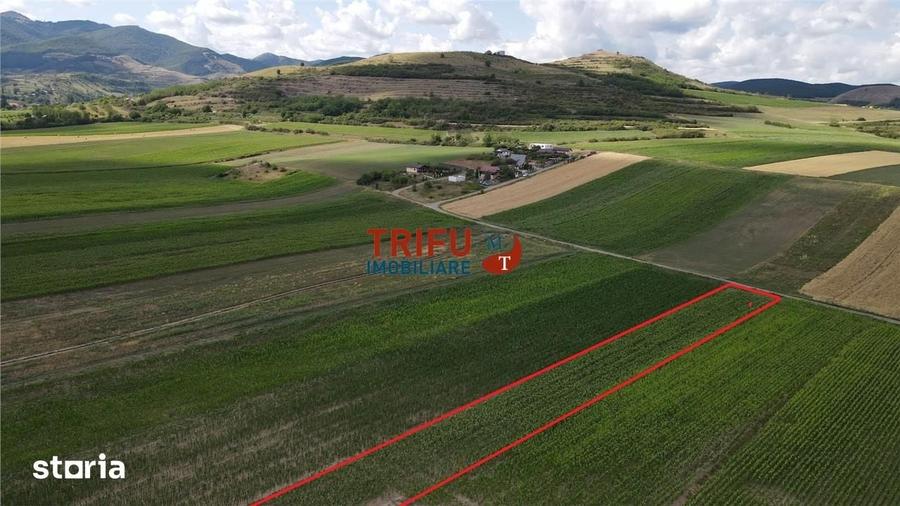 Teren de 1500 mp, în Ighiu