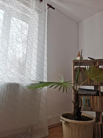 Casă cu 4 camere cu Teren 1400 Mp în Caracal