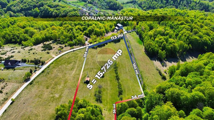 Teren de 15726 mp, în Preluca Nouă