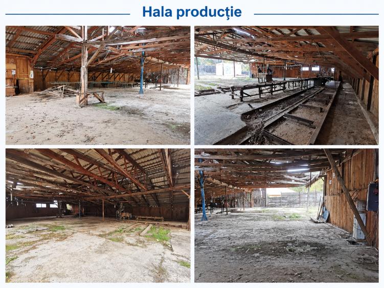 Spațiu industrial, 1350 mp în Chirlești