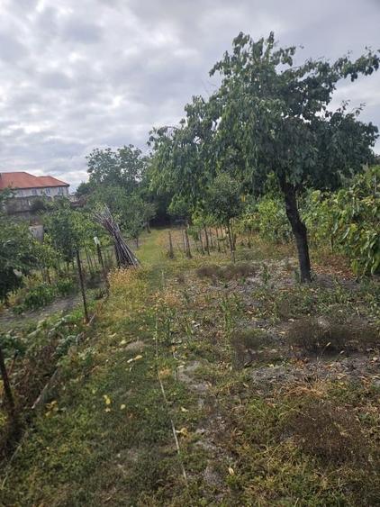 Casă individuală cu 5 camere cu Canalizare în Central