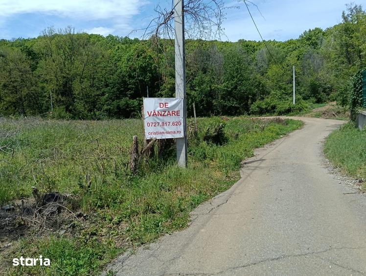 Teren de 1807 mp, în Cocorăștii Mislii