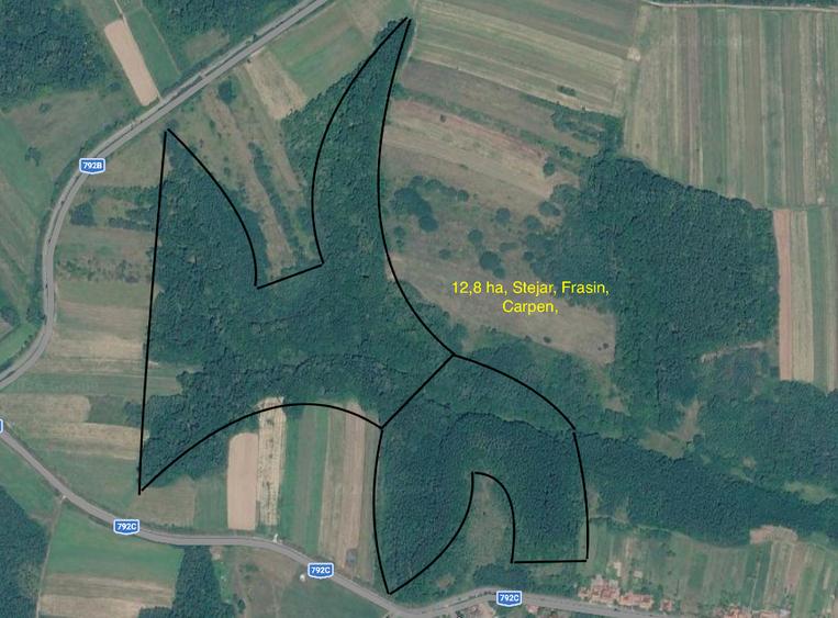 Teren extravilan de 174000 mp, în Buteni