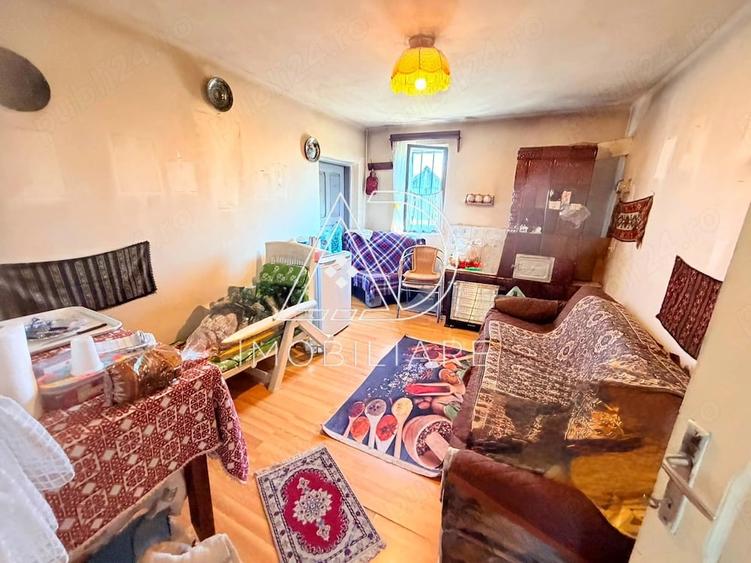 Casă cu 3 camere cu Teren 9730 Mp în Central