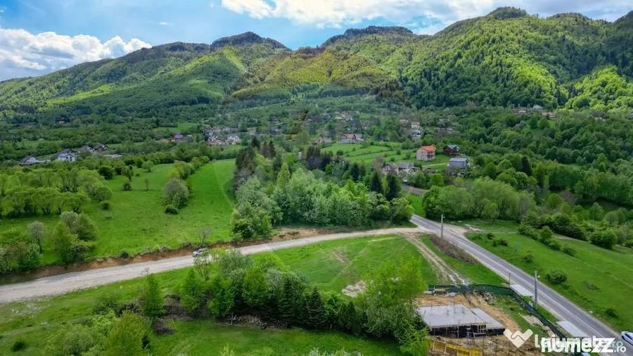 Teren în Tohănița