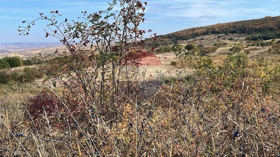 Teren agricol extravilan de 2900 mp, în Gheorghieni