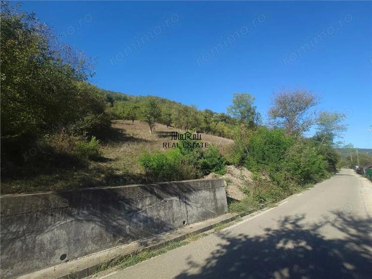 Teren de 1274 mp, în Criș