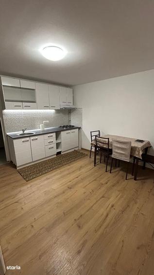 GARSONIERA - RAHOVA, PET-FRIENDLY, MOBILAT/UTILAT MODERN, CURTE - 4