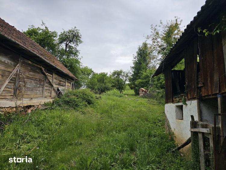 Casă cu 4 camere cu Teren 537 Mp în Cărpinet