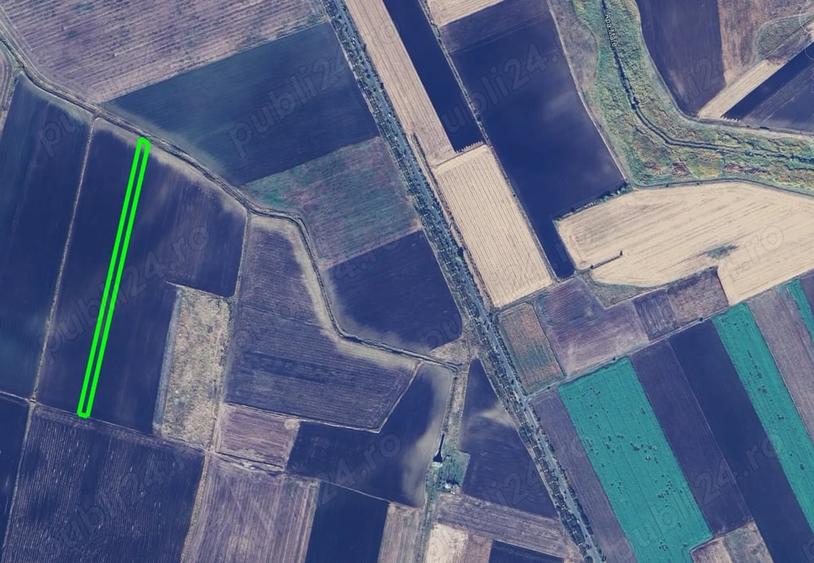 Teren de 10000 mp, în Becicherecu Mic
