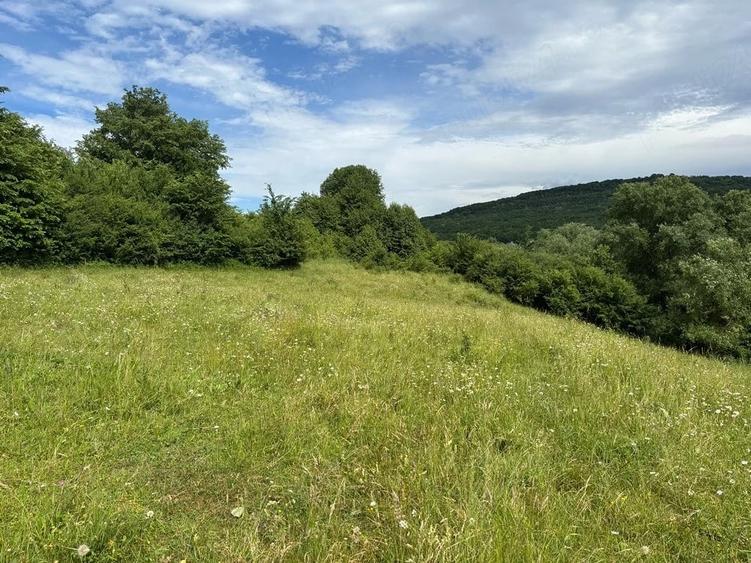 Teren de 4500 mp, în Deleni