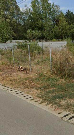 Teren Construcții intravilan de 2484 mp, în Corbeanca