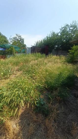 Casa P+1, 250 mp utili, 500 mp teren, zona Brestei - 12