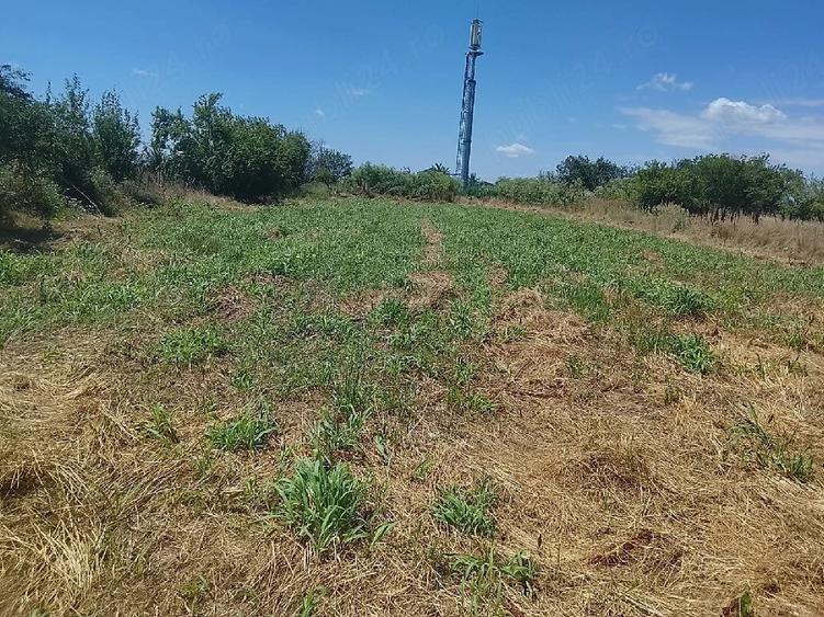 Teren de 1000 mp, în Copăceni