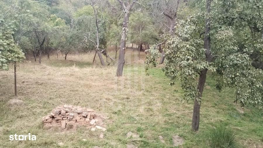 Casă cu 4 camere cu Teren 2343 Mp în Central