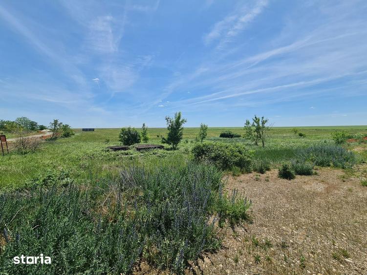 Spațiu comercial, de 40,000 mp, în Șagu