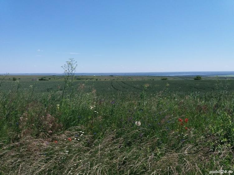 Teren de 4200 mp, în Tulucești