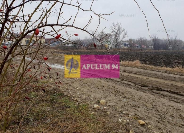Teren Construcții intravilan de 13705 mp, în 1 Decembrie