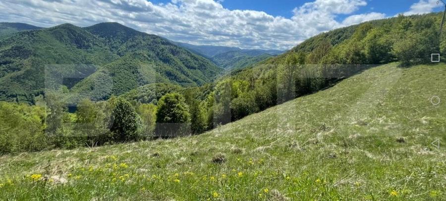 Teren agricol extravilan de 6000 mp, în Valea Ierii