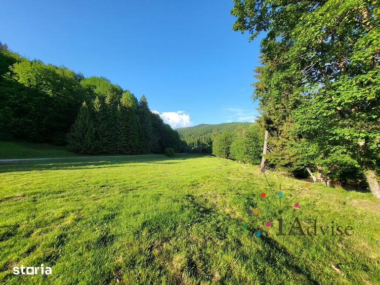 Teren de 12000 mp, în Vama Buzăului