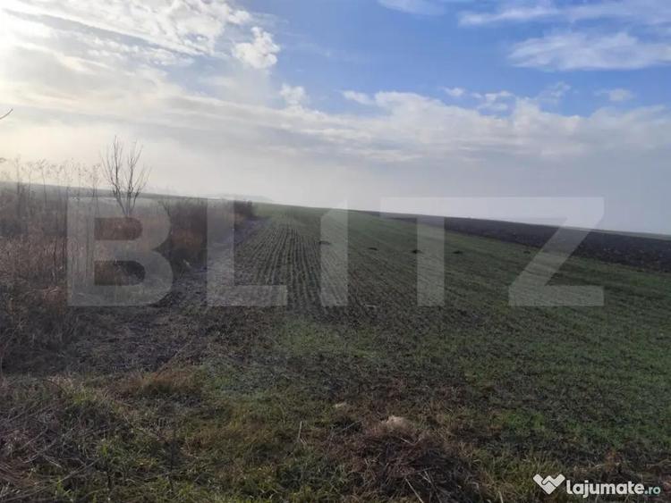 Teren de 15000 mp, în Miroslava